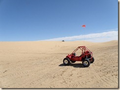 ImperialDunes (5) ImperialDunes (5)