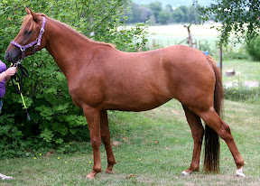 Isadora juli 2010