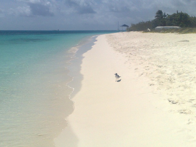 [090820092012.jpg]