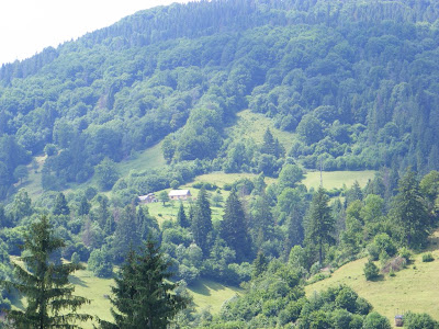 Гори. Карпати.