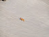 ...ahora sube...