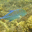Omilu - You should see this fish when it gets to 100lbs.