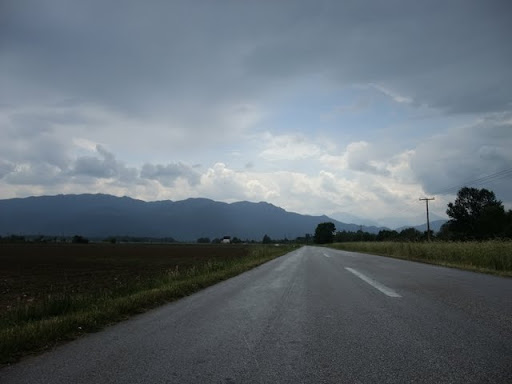 Posted Image