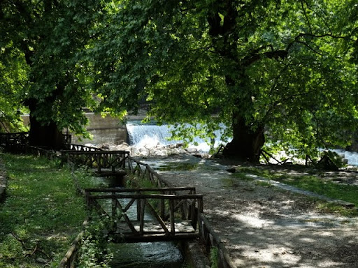 Posted Image