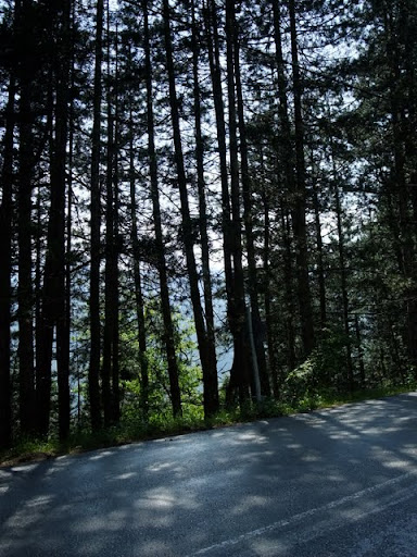 Posted Image