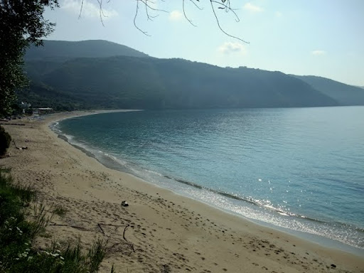 Posted Image