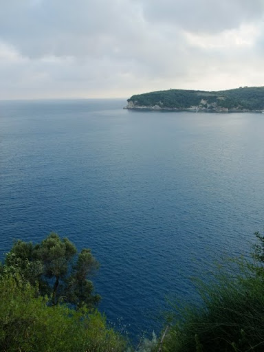 Posted Image