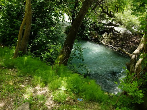 Posted Image