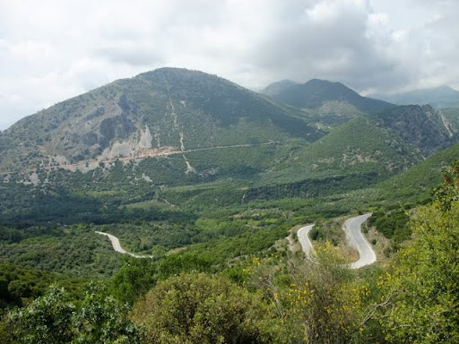 Posted Image