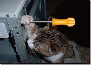 DIYCat