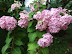 2008_03240061.JPG