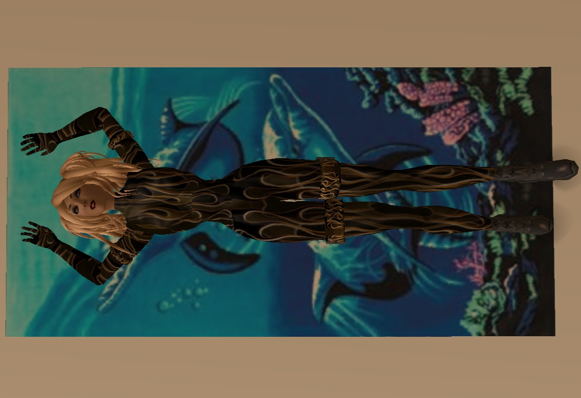 [Snapshot_544A.jpg]