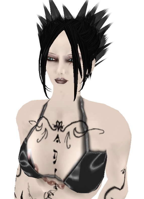 [Snapshot_1394A.jpg]
