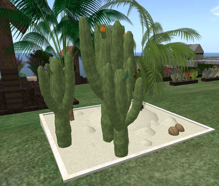 [Snapshot_3506A.jpg]