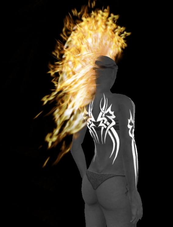 [Snapshot_1231A.jpg]