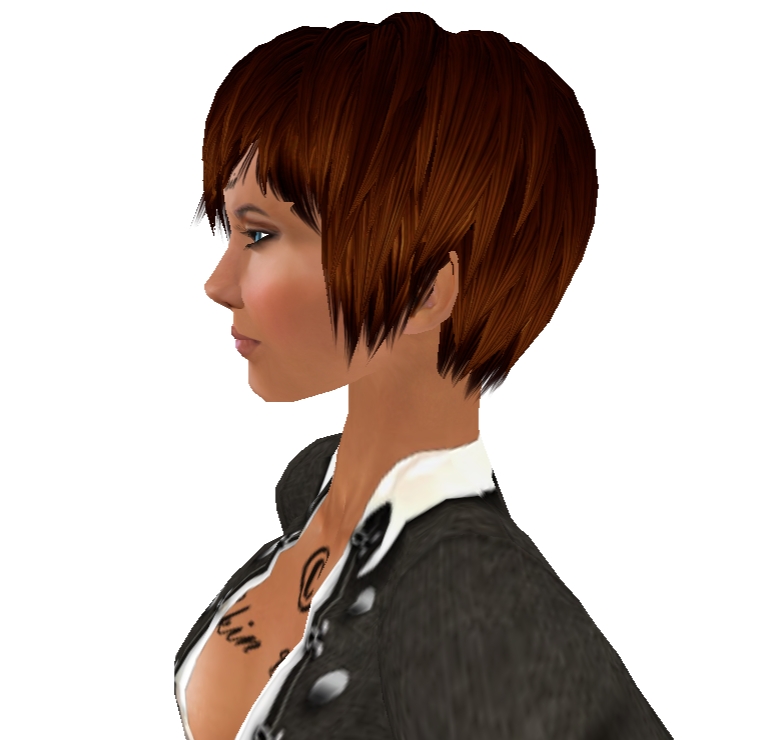 [Snapshot_2450A.jpg]