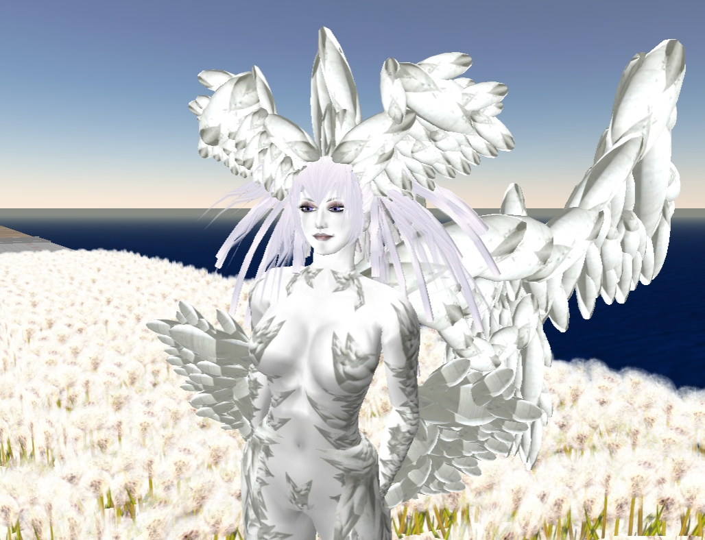 [Snapshot_2394A.jpg]