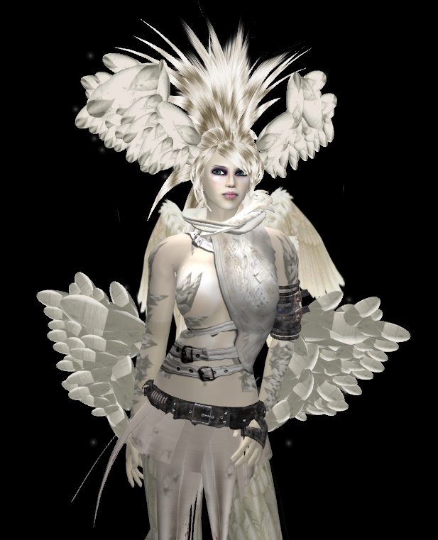 [Snapshot_4653A.jpg]