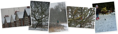 View Snowy Christmas 2009