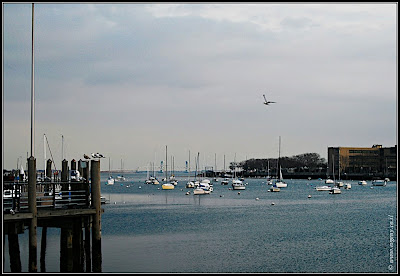 america/Вид на Америку: Sheepshead bay (0101 NY%2C%20Sheepshead 6)