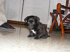DSCF0711.JPG