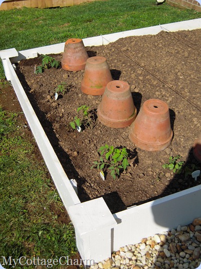 how to build raised beds