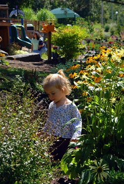 DSC_0046 DSC_0046