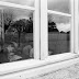 bothoa_nb_029.jpg