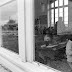 bothoa_nb_030.jpg