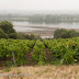 Domaine des Génaudières. La Loire.
