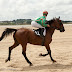 Hippodrome du Kernic, Plouescat, jeudi 5 Aout 2010.