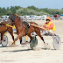 Course attelée à l'hippodrome de la baie du Kernic de Plouescat le 5 août 2010.