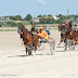 Course attelée à l'hippodrome de la baie du Kernic de Plouescat le 5 août 2010.