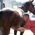 Hippodrome du Kernic, Plouescat, jeudi 5 Aout 2010.