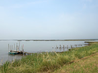 EPSN5870.JPG