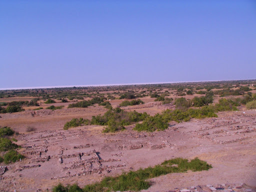 rann