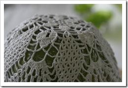 IMG_1593 IMG_1593