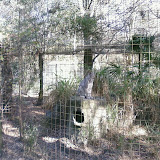 PIC-0105.jpg