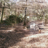 PIC-0096.jpg