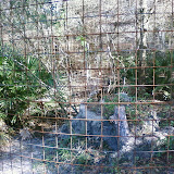 PIC-0095.jpg