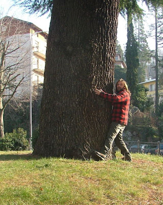 Abbraccia i Cedri di Asso