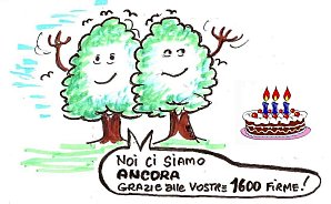 I cedri di Lissone