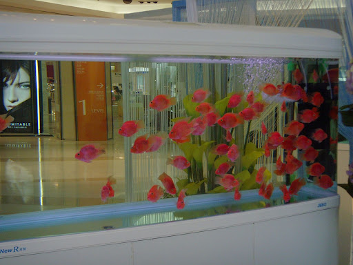 ... Sunshine Department Store