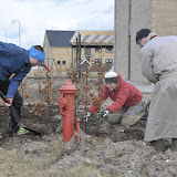 Bøgehækken på vestsiden