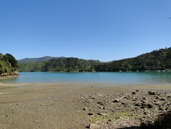 09-12-08-Queen Charlotte Track-2474