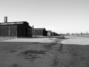 189 - Auschwitz II - Birkenau.JPG