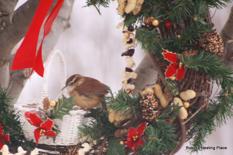 ROBINS NESTING PLACE Winter Bird Food Wreaths