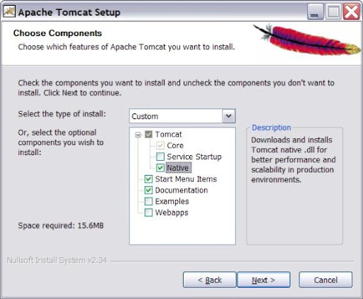 After installing Tomcat in