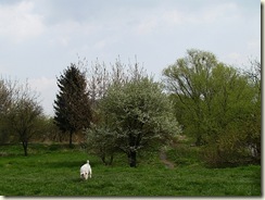 HPIM2534