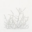 09_TREES.jpg